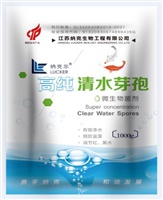 高純清水芽孢